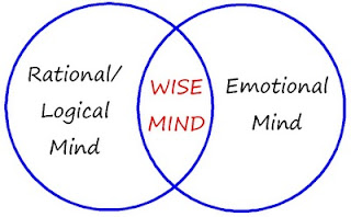 Coping Skills — Wise Mind